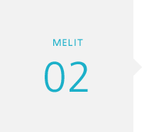 MELIT 2